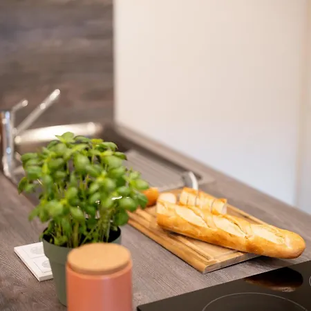 Lexapartments Luxus Apartment-zentral In Altstadt-65-80qm